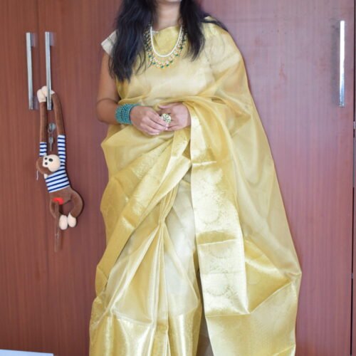 Saanvi – The Golden Grace